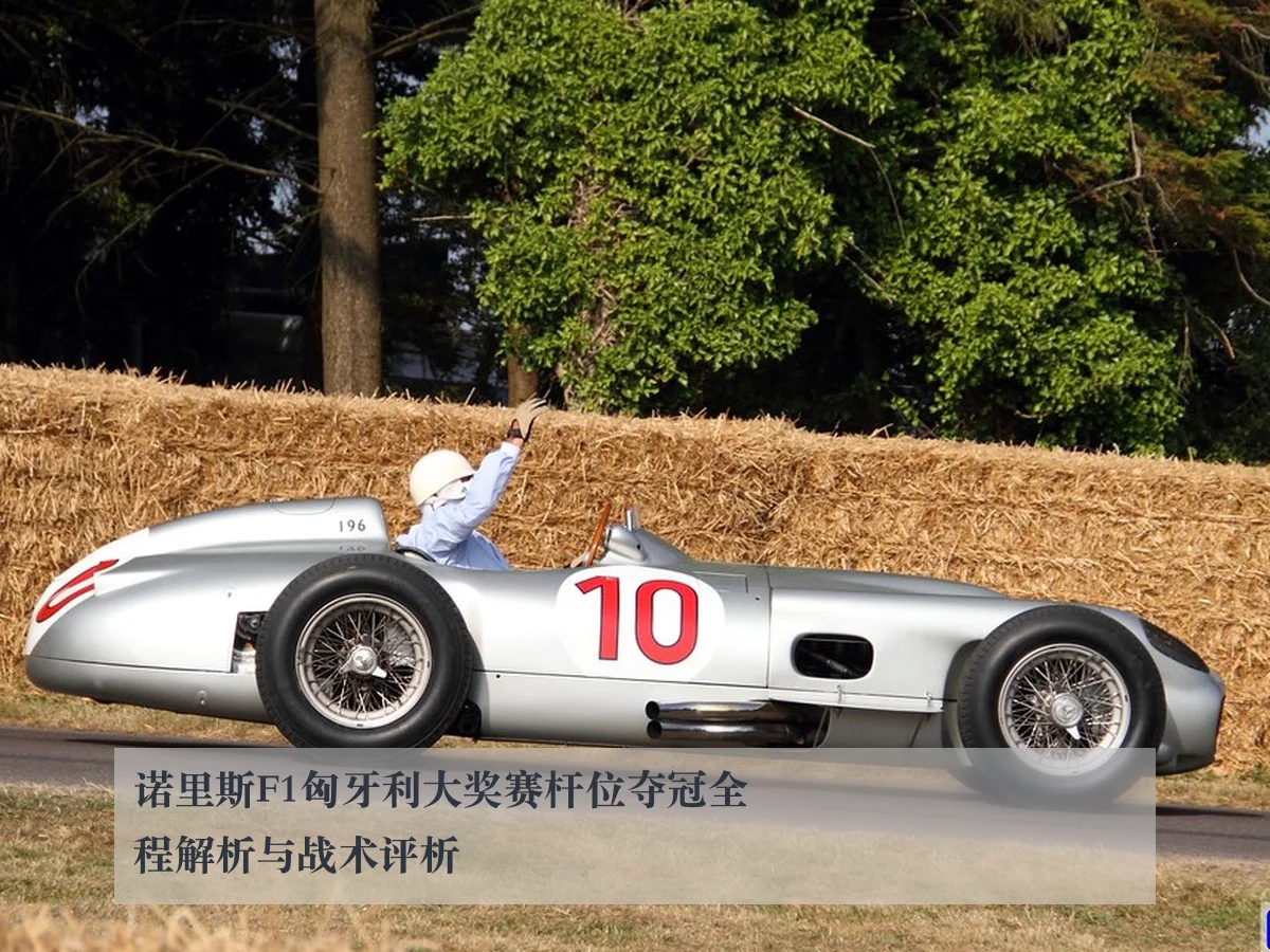 诺里斯F1匈牙利大奖赛杆位夺冠全程解析与战术评析